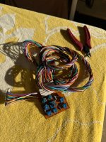 IMG_2336.jpeg
