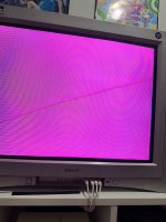 IMG_0845.jpeg