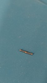 metal_spring.jpg