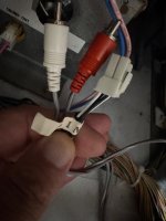 IMG_1178.jpeg