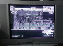 20260320_084121.jpg
