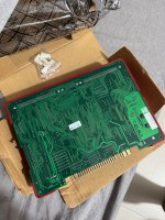 IMG_2081.jpeg