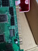 IMG_2087.jpeg