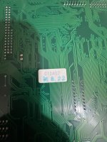 IMG_2093.jpeg