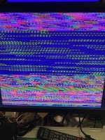 IMG_0552.jpeg