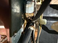 image1.jpeg
