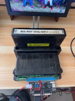 IMG_2646.jpeg