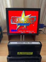 IMG_2637.jpeg