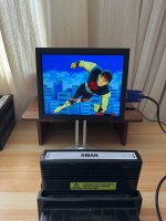 IMG_2572.jpeg