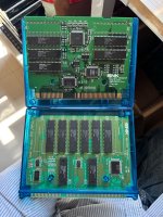 IMG_2584.jpeg