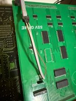 IMG_4565.jpeg
