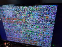 IMG_8027.jpeg