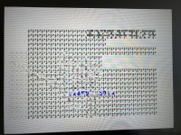 IMG_1201.jpeg