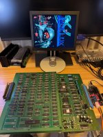 IMG_3660.jpeg