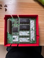 IMG_3645.jpeg