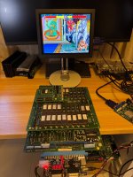 IMG_3655.jpeg