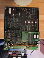 IMG_3669.jpeg