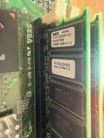 IMG_8902.jpeg