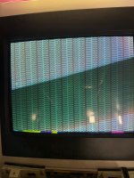 IMG_1209.jpeg