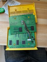 IMG_4350.jpeg