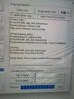 IMG_7532.jpeg