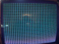 IMG_3703.jpeg