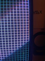IMG_3704.jpeg