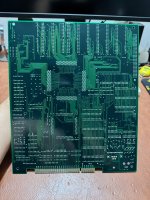 IMG_4736.jpeg