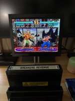IMG_5466.jpeg