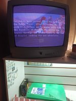 72fdf786-10cb-4405-a77d-e0f4543df378.jpg