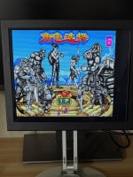 IMG_5556.jpeg