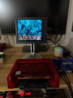IMG_5566.jpeg