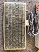 IMG_0065.jpeg