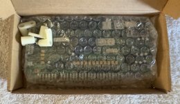 IMG_5961.jpeg