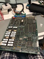 IMG_5629.jpeg