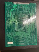 IMG_3664.jpeg