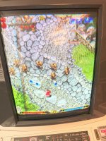 IMG_3570.jpeg