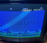 IMG_1087.jpeg