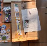 IMG_7037.jpeg