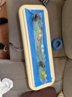 IMG_3930.jpeg