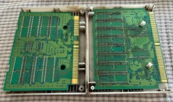double dragon (3).jpeg
