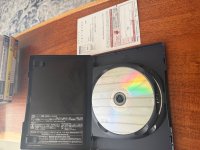 IMG_2929.jpeg