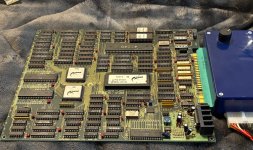 IMG_3688.jpeg