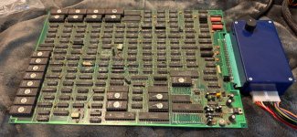 IMG_3679.jpeg
