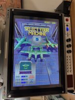 IMG_7907.jpeg