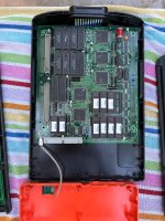 IMG_1195.jpeg