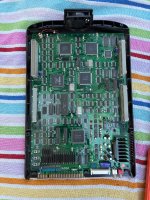 IMG_1193.jpeg