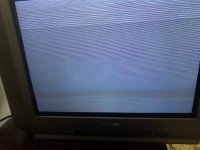 IMG_8122.jpeg