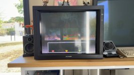IMG_2709.jpeg