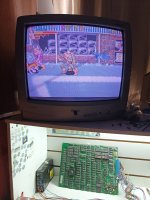 55384383-2389-4b64-8aba-bf6fa96753f5.jpg